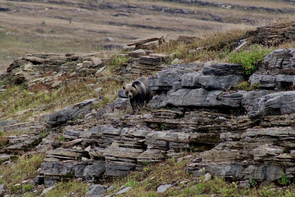 Creative Outdoor Content